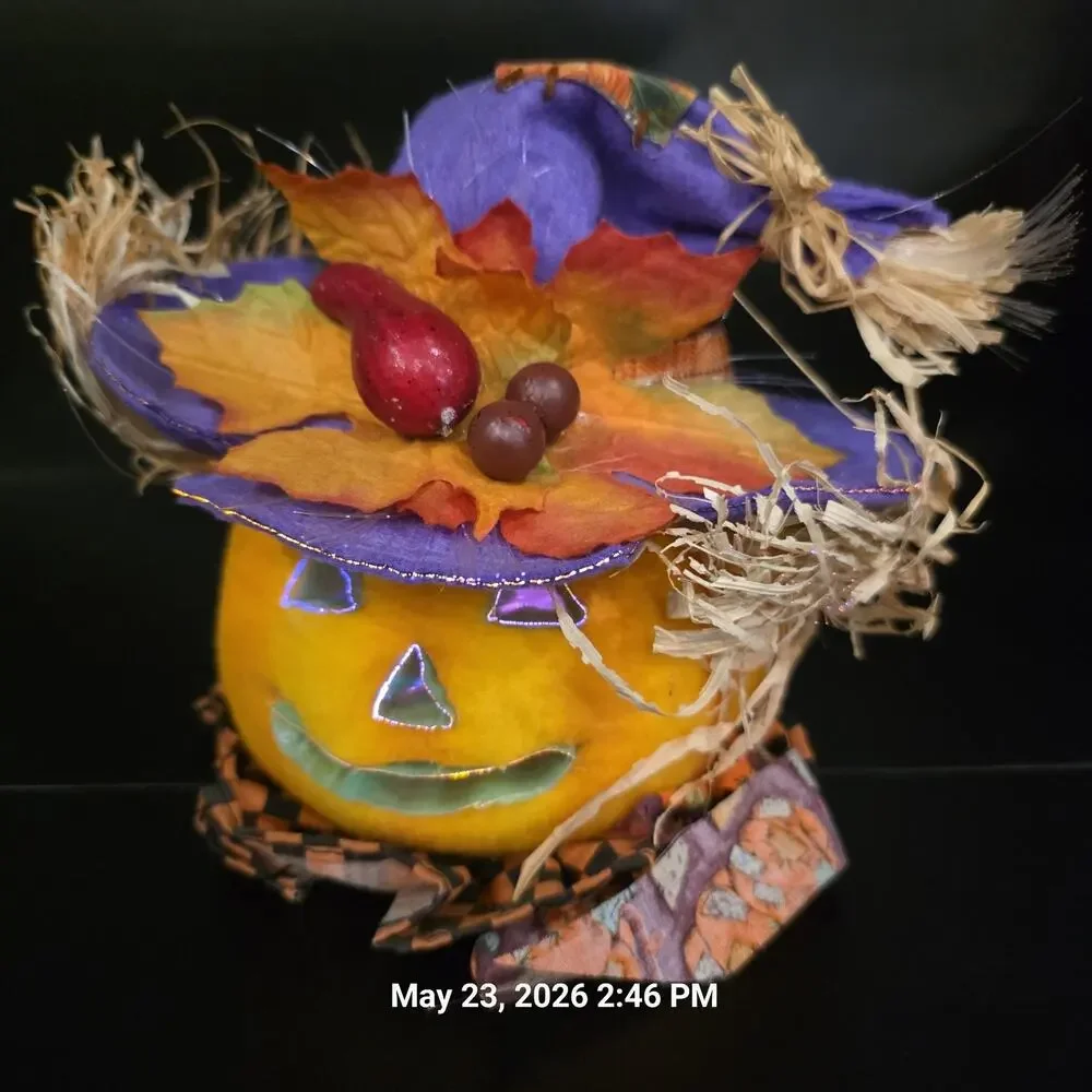 3pc Fiber Optic Halloween Pumpkin Black Cat 8